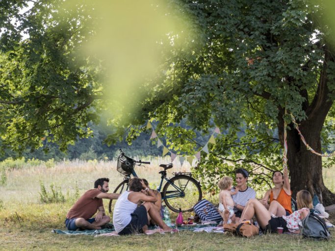 wuhlheide Gruppe von Menschen, die unter einem Baum sitzen und sich entspannen, mit einem Fahrrad in der Nähe.